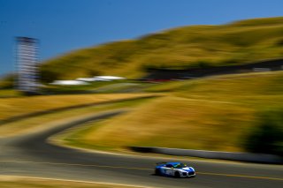 #30 Audi R8 LMS GT4 of Erin Vogel  

SRO at Sonoma Raceway, Sonoma CA | Gavin Baker/SRO
