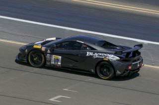 #10, Blackdog Speed Shop, McLaren 570S GT4, Michael Cooper, \g10#7\, SRO at Sonoma Raceway, Sonoma CA
 | Brian Cleary/SRO
