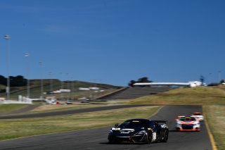 #11 McLaren 570S GT4 of Tony Gaples  

SRO at Sonoma Raceway, Sonoma CA | Gavin Baker/SRO
