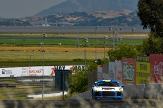 #43 Audi R8 LMS GT4 of Sarah Cattaneo and Owen Trinkler 

SRO at Sonoma Raceway, Sonoma CA | Gavin Baker/SRO
