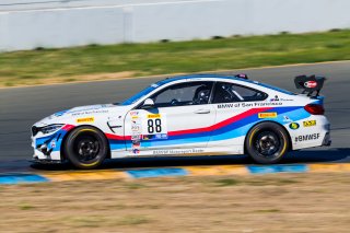 #88 BMW M4 GT4 of Henry Schmitt  

SRO at Sonoma Raceway, Sonoma CA | Fabian Lagunas/SRO