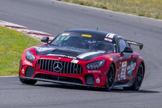 #592 Mercedes-AMG of Mark Ramsey and Alexandre Premat, Rose Cup Races, Portland OR
 | Brian Cleary/SRO
