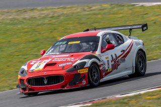 #8 Maserati Grand Turismo MC GT4 of Michael McAleenan and Jerold Lowe, Rose Cup Races, Portland OR
 | Brian Cleary/SRO
