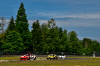 #8 Maserati Grand Turismo MC GT4 of Michael McAleenan and Jerold Lowe 

Rose Cup Races, Portland OR | Gavin Baker/SRO
