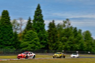 #8 Maserati Grand Turismo MC GT4 of Michael McAleenan and Jerold Lowe 

Rose Cup Races, Portland OR | Gavin Baker/SRO
