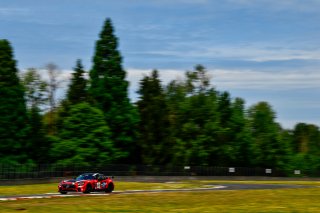 #592 Mercedes-AMG of Mark Ramsey and Alexandre Premat 

Rose Cup Races, Portland OR | Gavin Baker/SRO
