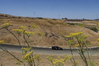 #210 Aston Martin Vantage GT4 of Michael Dinan, Flying Lizard Motorsports, GT4 Sprint Am, 2020 SRO Motorsports Group - Sonoma Raceway, Sonoma CA
 | Brian Cleary/SRO  