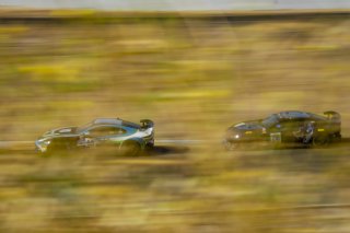 #59 Aston Martin Vantage GT4 of Paul Terry, Rearden Racing, GT4 Sprint, Am, SRO America, Sonoma Raceway, Sonoma CA, Aug 2020.
 | Brian Cleary/SRO