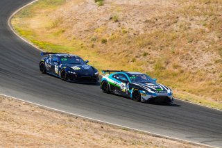 #59 Aston Martin Vantage GT4 of Paul Terry, Rearden Racing, GT4 Sprint, Am, 2020 SRO Motorsports Group - Sonoma Raceway, Sonoma CA
 | Brian Cleary      