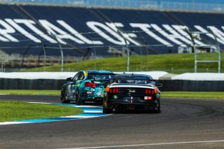 #12 Ford Mustang GT4 of Drew Staveley, Ian Lacy Racing, GT4 Sprint Pro, SRO, Indianapolis Motor Speedway, Indianapolis, IN, September 2020. | Fabian Lagunas/SRO