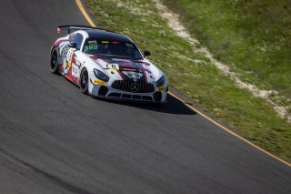 #16 Mercedes-AMG GT4 of John Allen and Kris Wilson, Capstone Motorsports, Am, Pirelli GT4 America, SRO America Sonoma Raceway, Sonoma, CA, March 2021.   | 2021 Regis Lefebure                                       