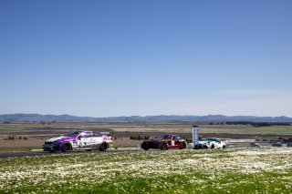 #36 BMW M4 GT4 of James Clay and Nick Galante, BimmerWorld Racing, Pro-Am, Pirelli GT4 America, Pirelli GT4 America, SRO America Sonoma Raceway, Sonoma, CA, March 2021.   | Regis Lefebure                                            