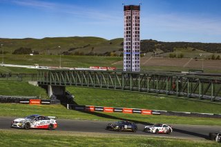 #34 BMW M4 GT4 of James Walker and Bill Auberlen, BimmerWorld Racing, Pro_am, Pirelli GT4 America, SRO America Sonoma Raceway, Sonoma, CA, March 2021.   | Brian Cleary/BCPix.com