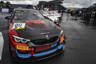 $80 BMW M4 GT4 of Todd Brown and Johan Schwartz, Rooster Hall Racing, GT4 America, Am, SRO America, Sonoma Raceway, Sonoma, CA, April  2022.
 | Brian Cleary/SRO