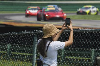 Fans. SRO America, VIRginia International Raceway, Alton VA, June 2023.
 | Brian Cleary/SRO