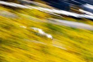 #88 BMW M4 GT4 of Harry Gottsacker and Chandler Hull, STR38 Motorsports, Pirelli GT4 America, Silver, SRO America, Indianapolis Motor Speedway, Indianapolis, IN, October 2023.
 | Brian Cleary/SRO